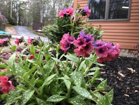 105 Cushman Point Road Wiscasset ME 04578