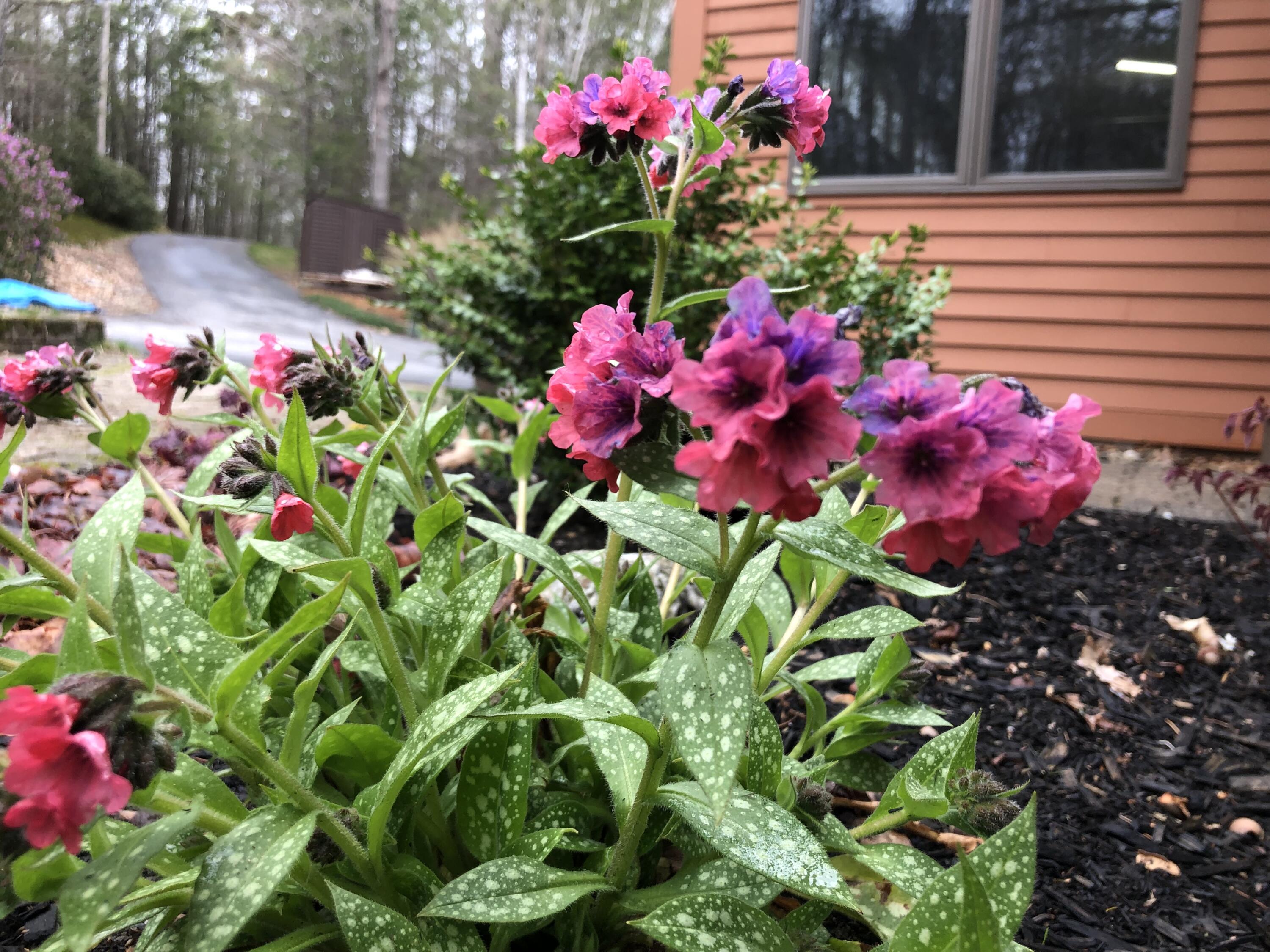 105 Cushman Point Road Wiscasset ME 04578