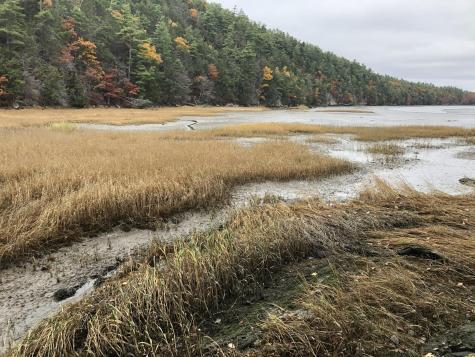 105 Cushman Point Road Wiscasset ME 04578