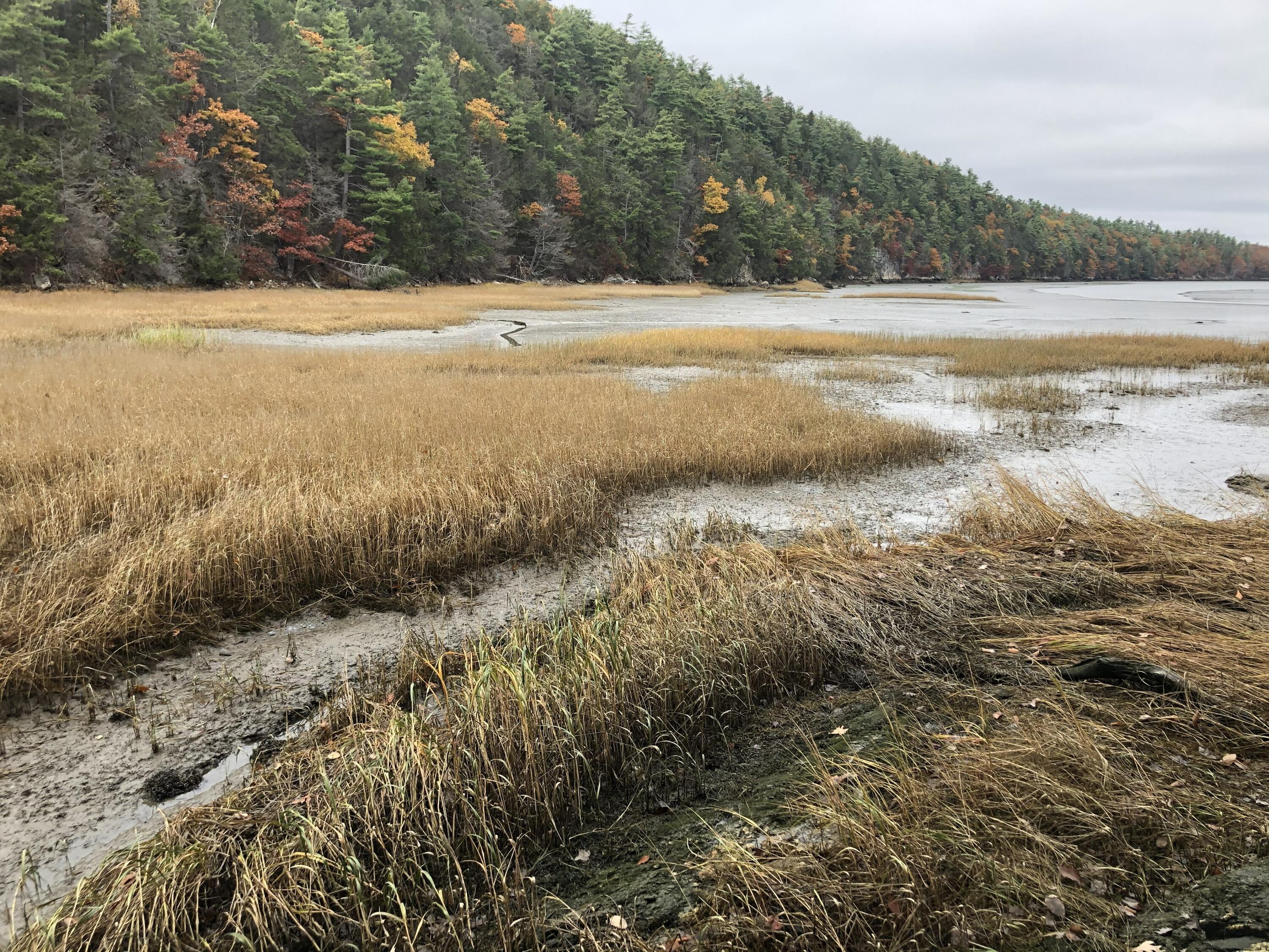105 Cushman Point Road Wiscasset ME 04578