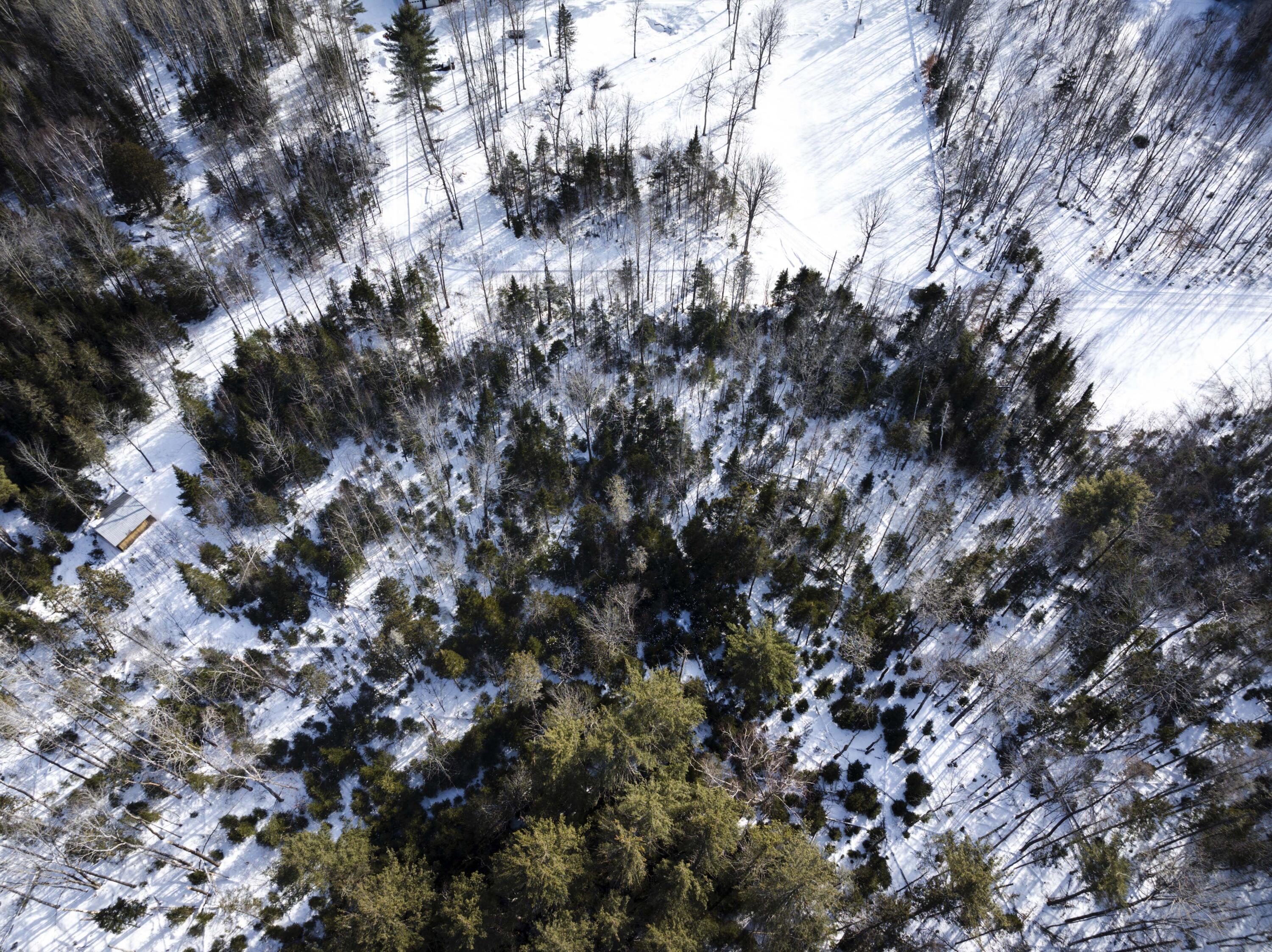 MAP7LOT54 Paine Road Dover-foxcroft ME 04426