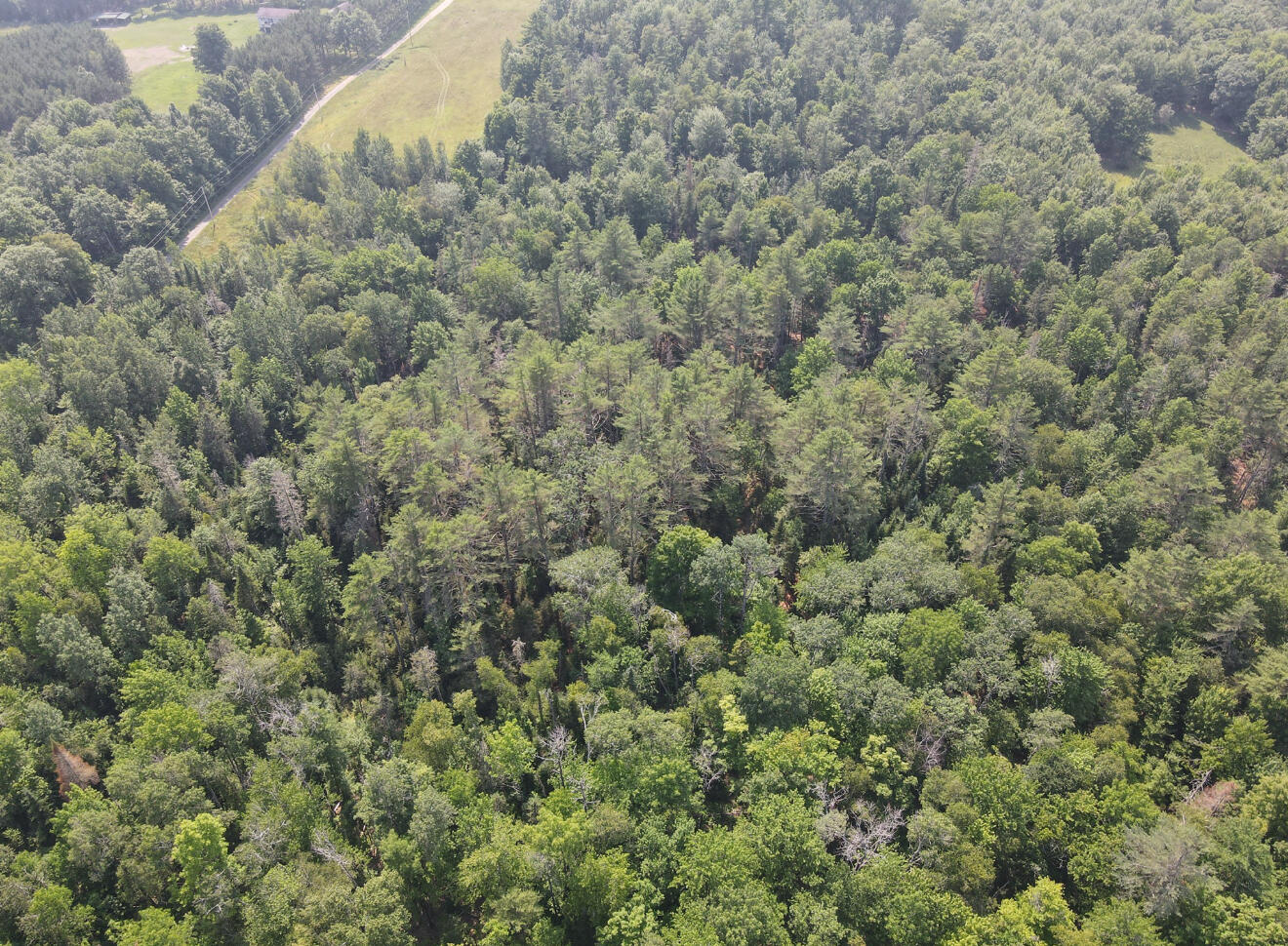 MAP7LOT54 Paine Road Dover-foxcroft ME 04426