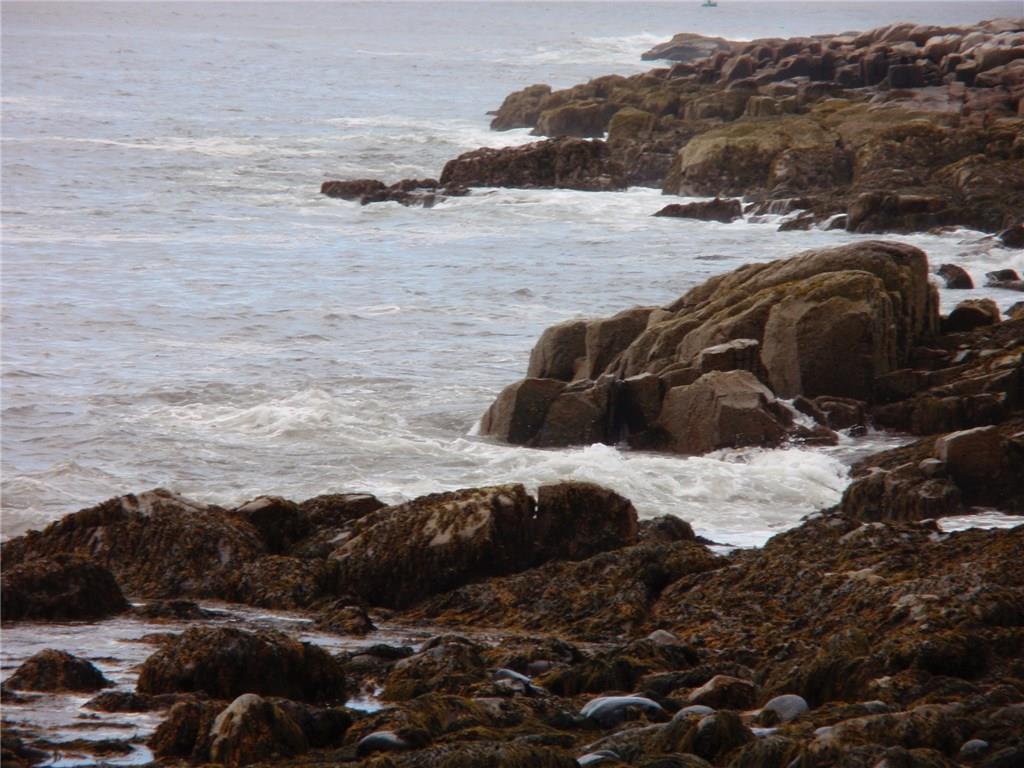 171 Lighthouse Point Road Gouldsboro ME 04607