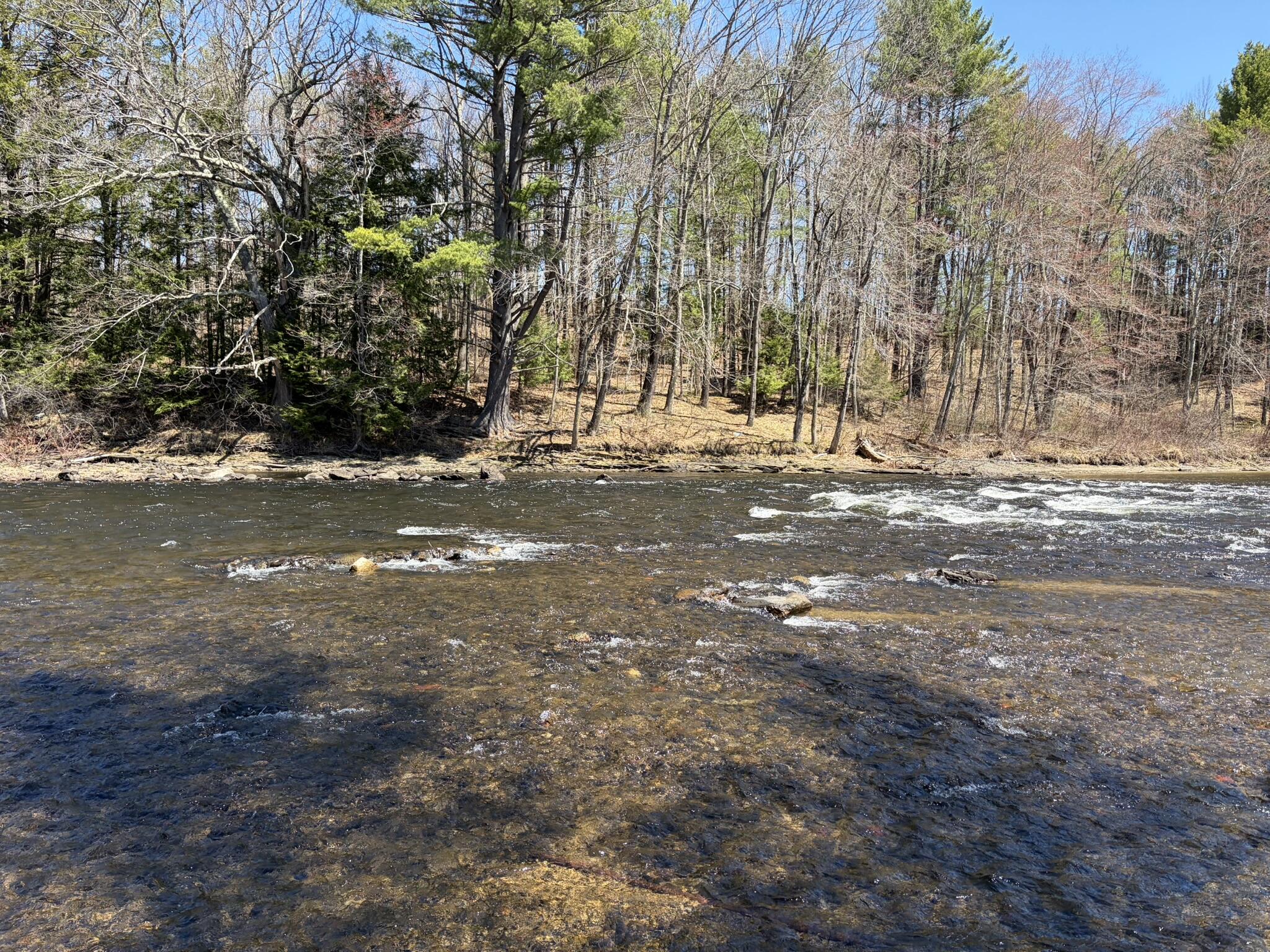 50 Canal Street Gorham ME 04038