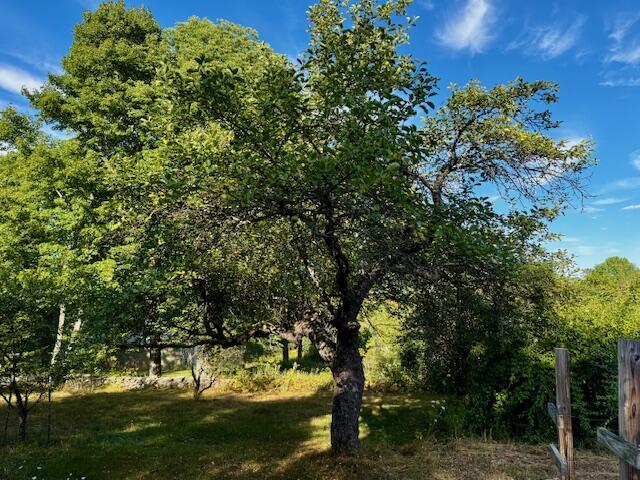 69 Ward Road Athens ME 04912