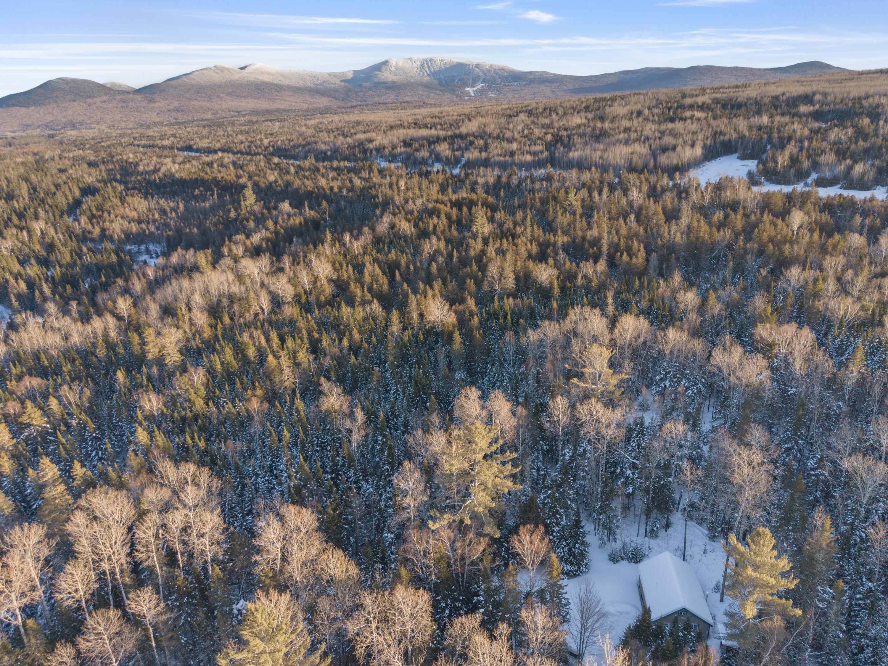 5 Pine Lane Dallas Plt ME 04970