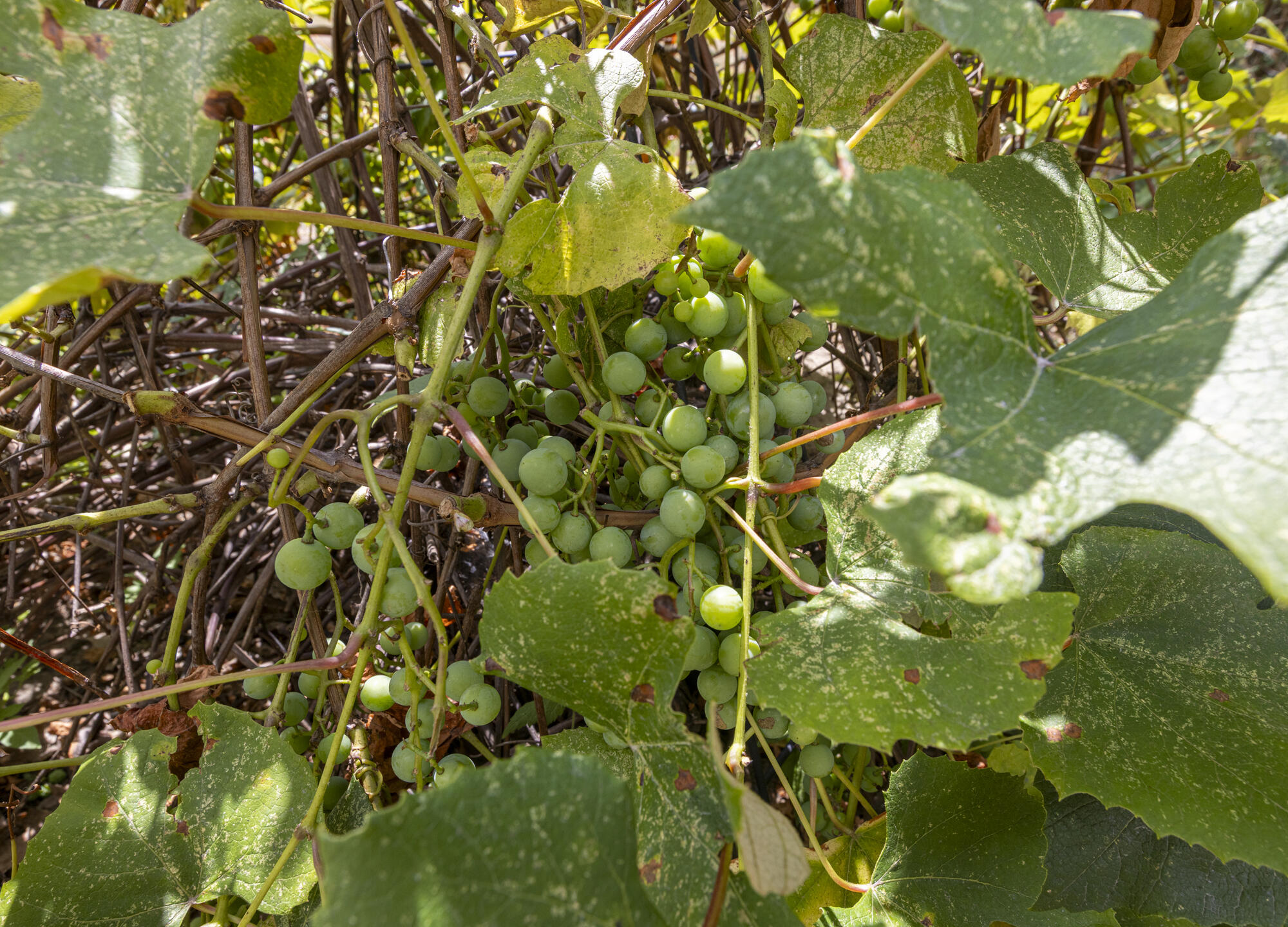 1535 Broadway South Portland ME 04106