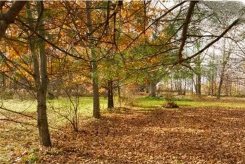 64 Saint Albans Road Corinna ME 04928