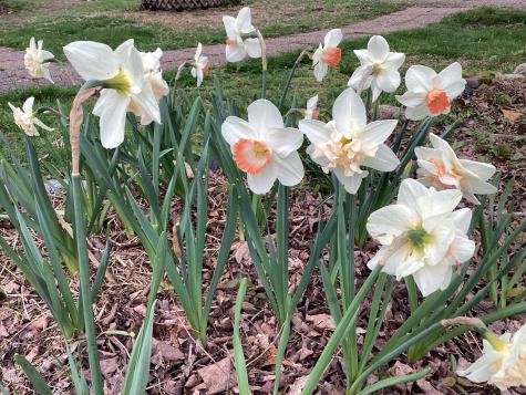 58 Hersey Lane Pembroke ME 04666