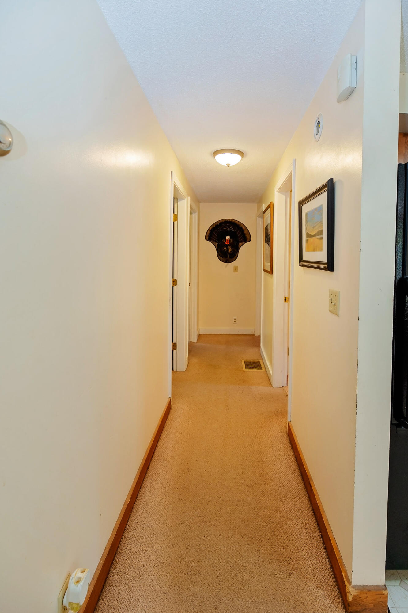 12 Caboose Lane Kingfield ME 04947