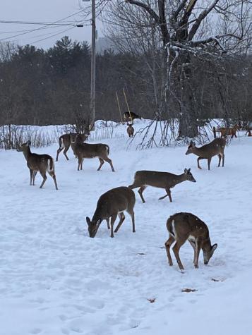 40 Pine Street Dixfield ME 04224