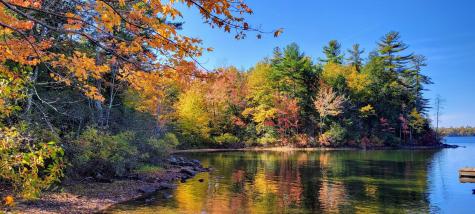 98 Waldron Point Road & Doctor Island Casco ME 04015