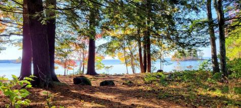 98 Waldron Point Road & Doctor Island Casco ME 04015