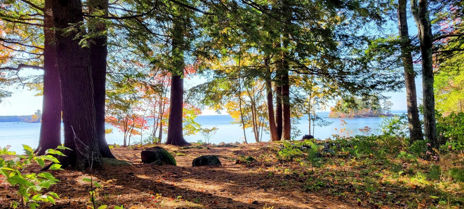 98 Waldron Point Road & Doctor Island Casco ME 04015