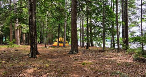 98 Waldron Point Road & Doctor Island Casco ME 04015