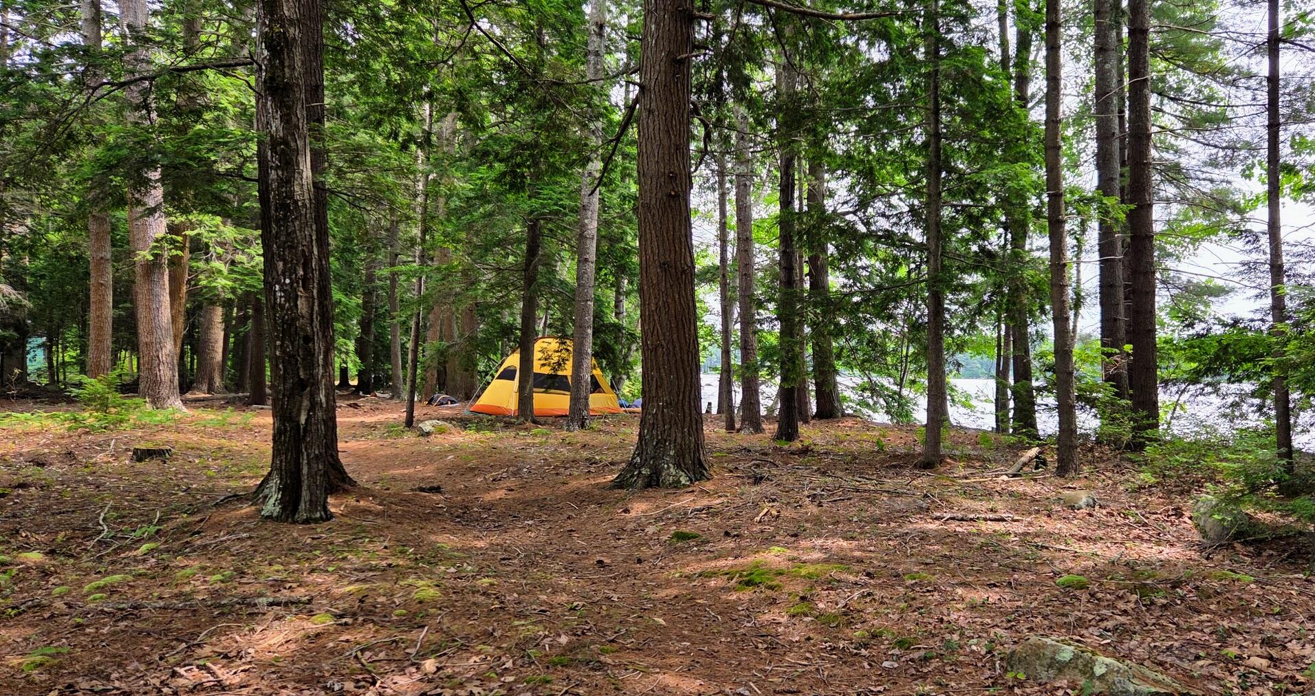 98 Waldron Point Road & Doctor Island Casco ME 04015