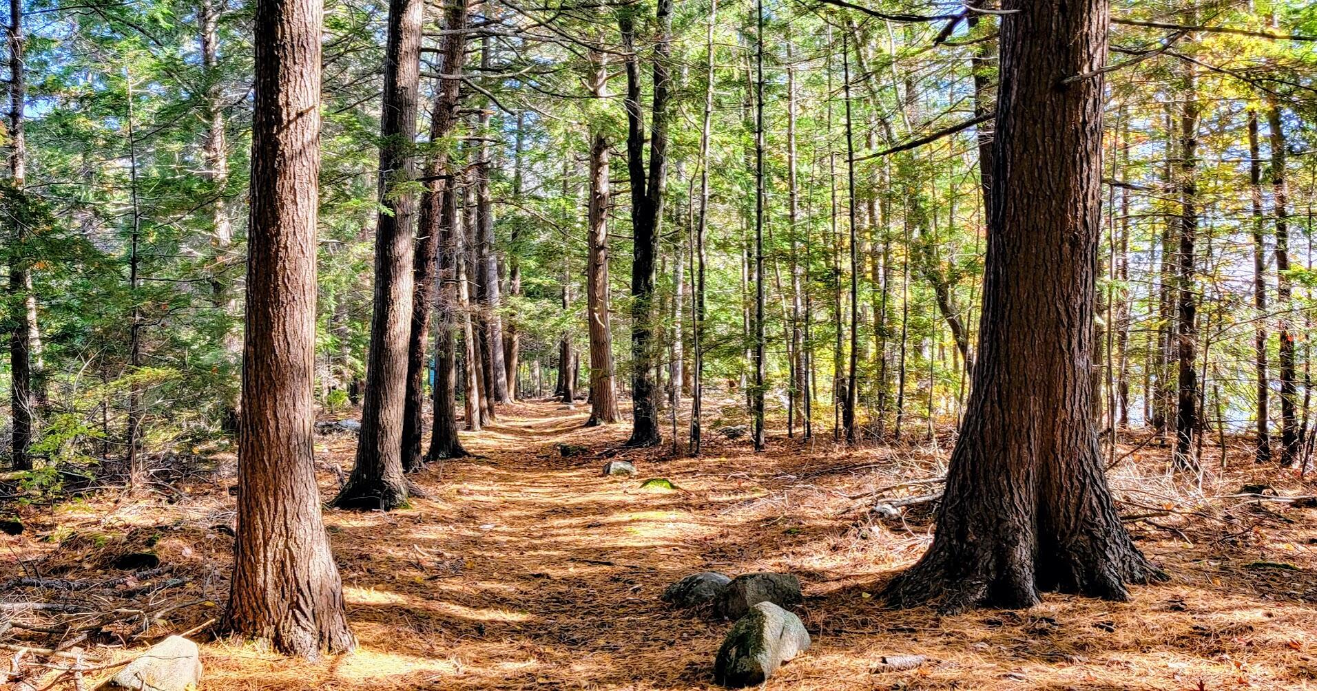 98 Waldron Point Road & Doctor Island Casco ME 04015