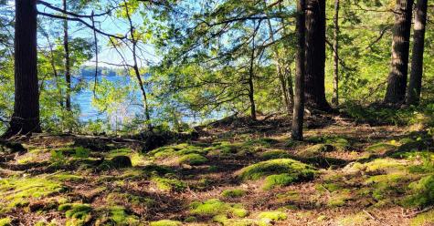 98 Waldron Point Road & Doctor Island Casco ME 04015