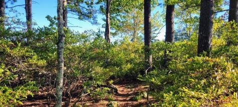 98 Waldron Point Road & Doctor Island Casco ME 04015