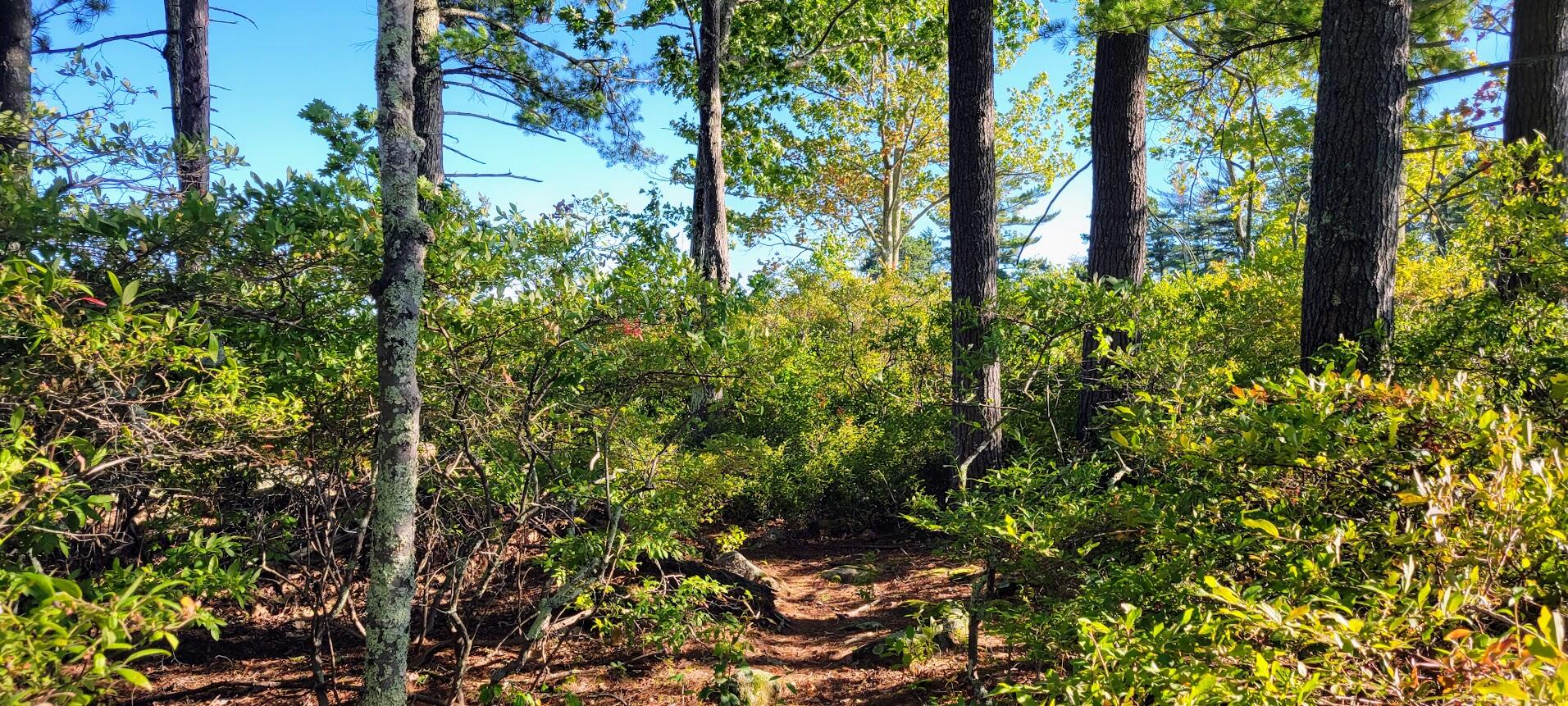 98 Waldron Point Road & Doctor Island Casco ME 04015