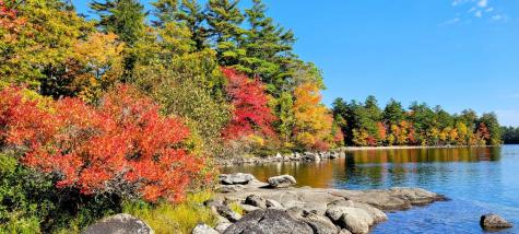 98 Waldron Point Road & Doctor Island Casco ME 04015