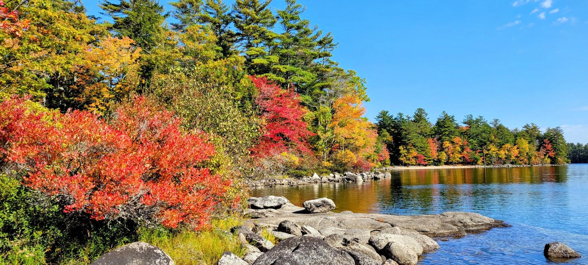 98 Waldron Point Road & Doctor Island Casco ME 04015