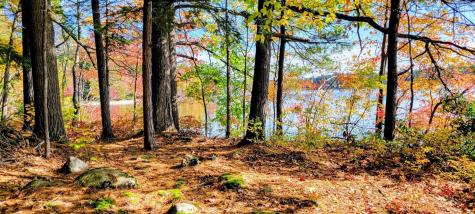 98 Waldron Point Road & Doctor Island Casco ME 04015