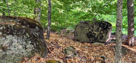 98 Waldron Point Road & Doctor Island Casco ME 04015