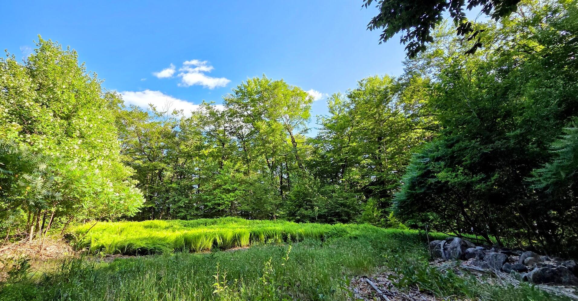 98 Waldron Point Road & Doctor Island Casco ME 04015