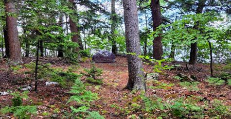 98 Waldron Point Road & Doctor Island Casco ME 04015