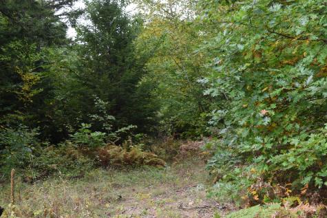234 Kezar Lake Road Stow ME 04037