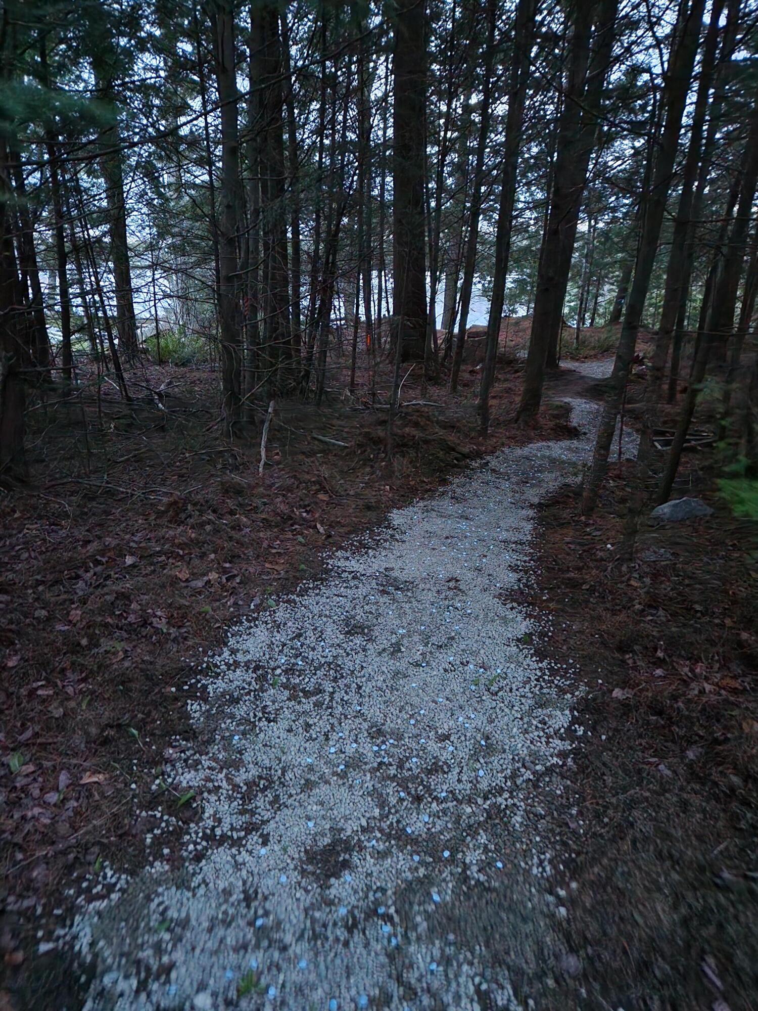 40 Moosepath Lane Searsport ME 04974