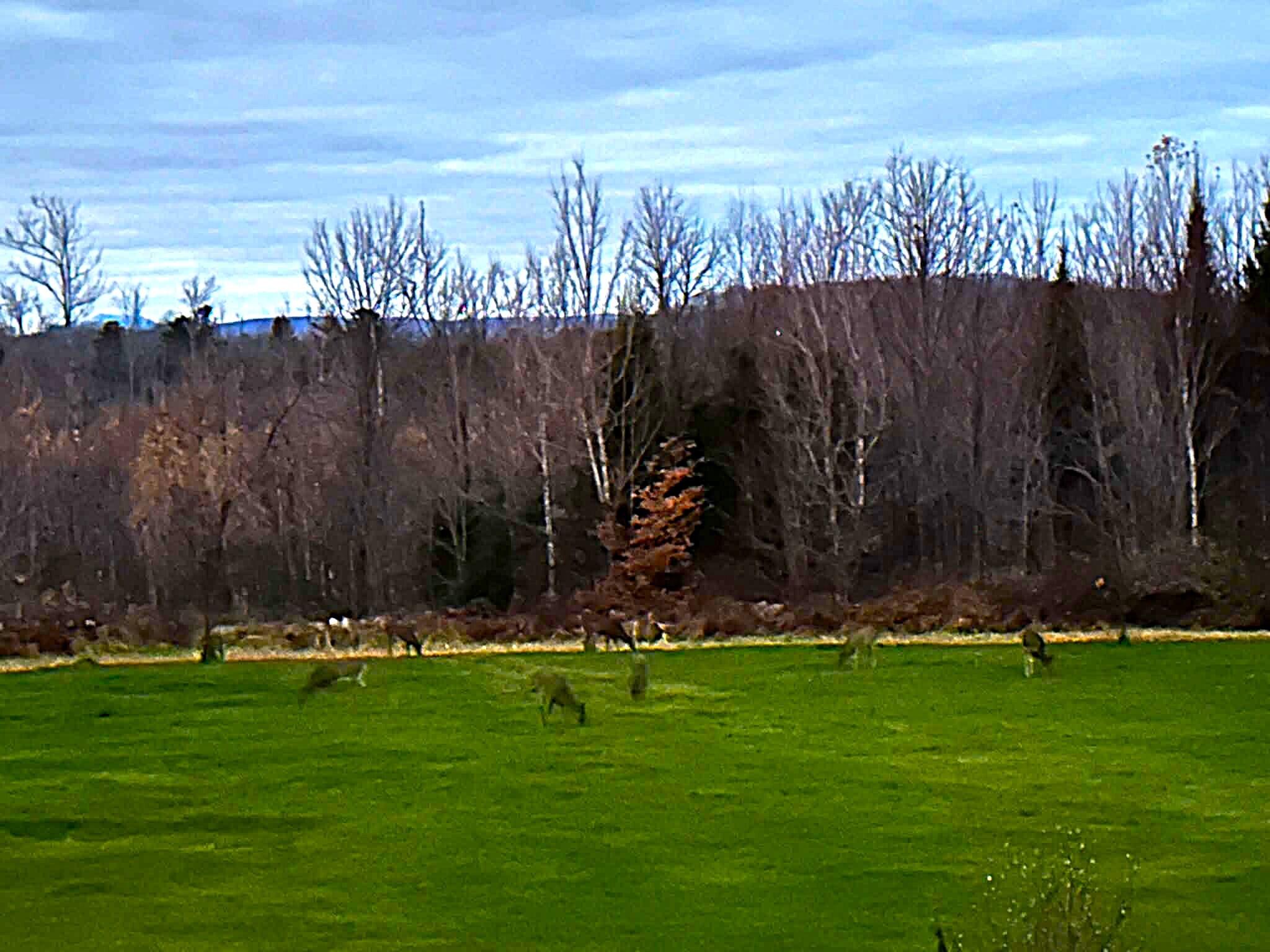 260 Nyes Corner Road Saint Albans ME 04971