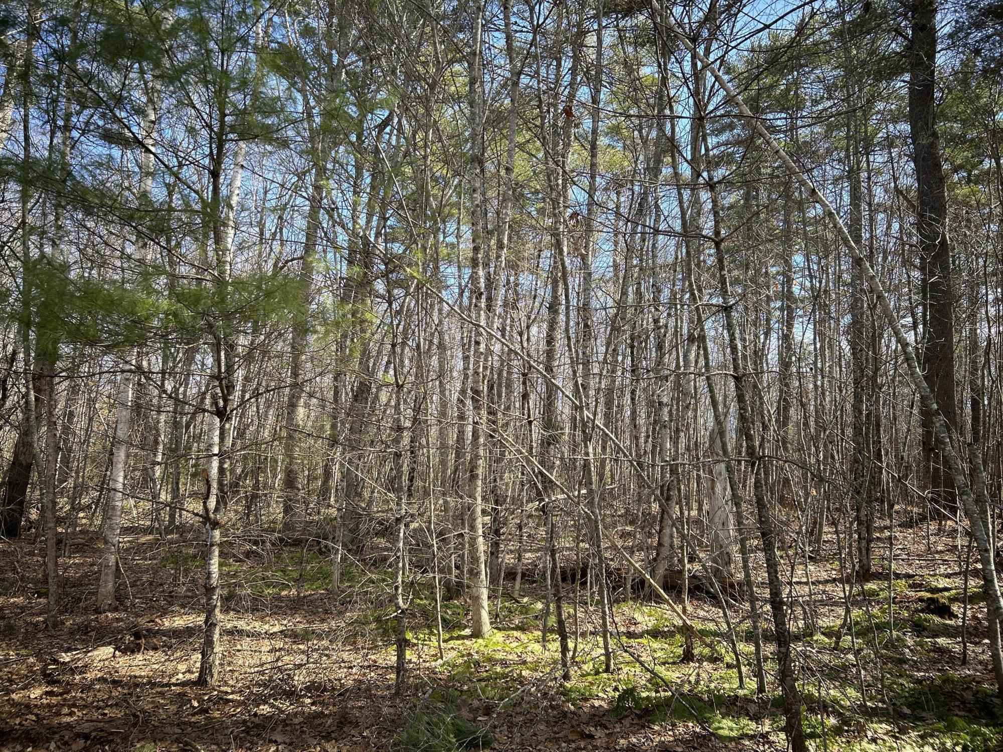 704 Cedar Grove Road Dresden ME 04342