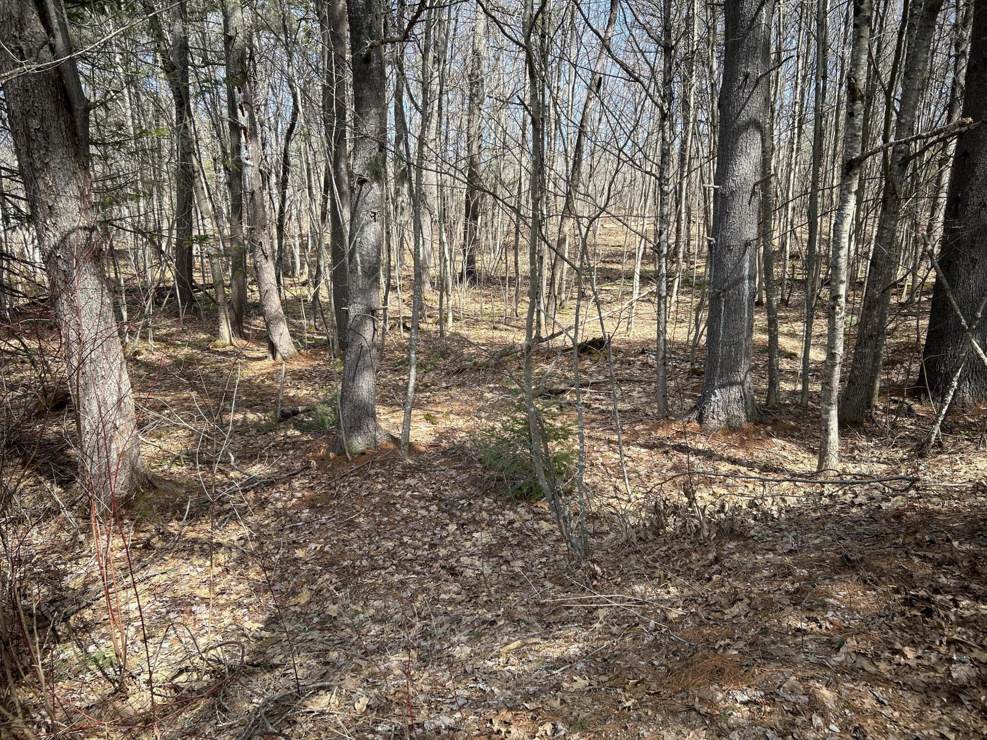 704 Cedar Grove Road Dresden ME 04342
