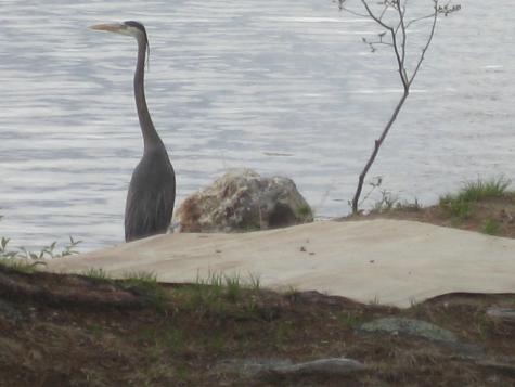 8 Hollow Point Road Casco ME 04015