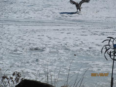 8 Hollow Point Road Casco ME 04015