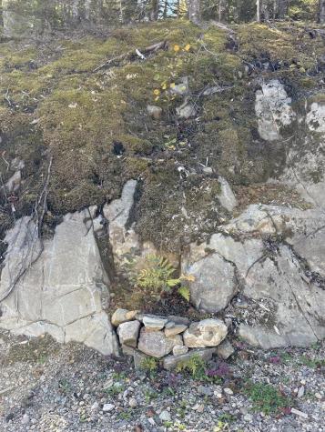 202 Ayers Junction Road Pembroke ME 04666