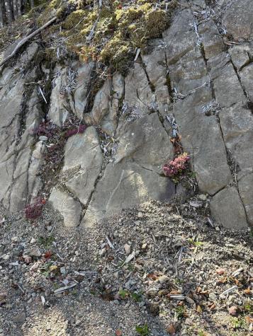 202 Ayers Junction Road Pembroke ME 04666