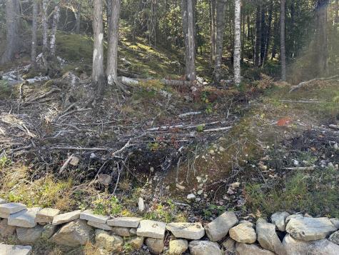 202 Ayers Junction Road Pembroke ME 04666