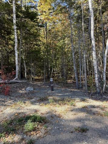 202 Ayers Junction Road Pembroke ME 04666