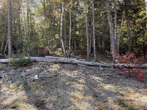 202 Ayers Junction Road Pembroke ME 04666