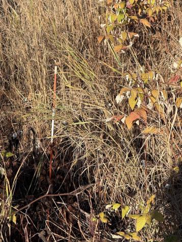 202 Ayers Junction Road Pembroke ME 04666