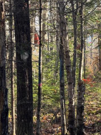 202 Ayers Junction Road Pembroke ME 04666