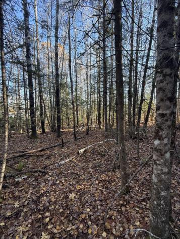 202 Ayers Junction Road Pembroke ME 04666