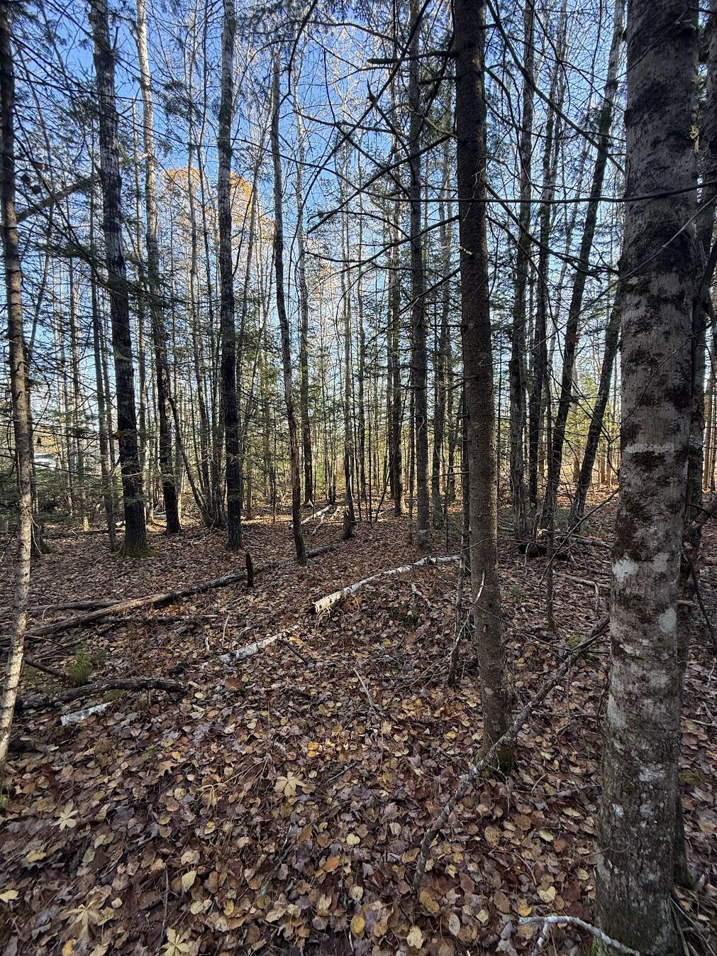 202 Ayers Junction Road Pembroke ME 04666
