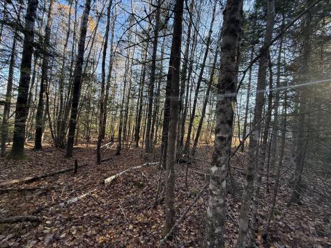 202 Ayers Junction Road Pembroke ME 04666