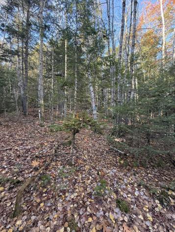 202 Ayers Junction Road Pembroke ME 04666