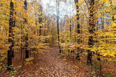 264 Day Mountain Road Temple ME 04984