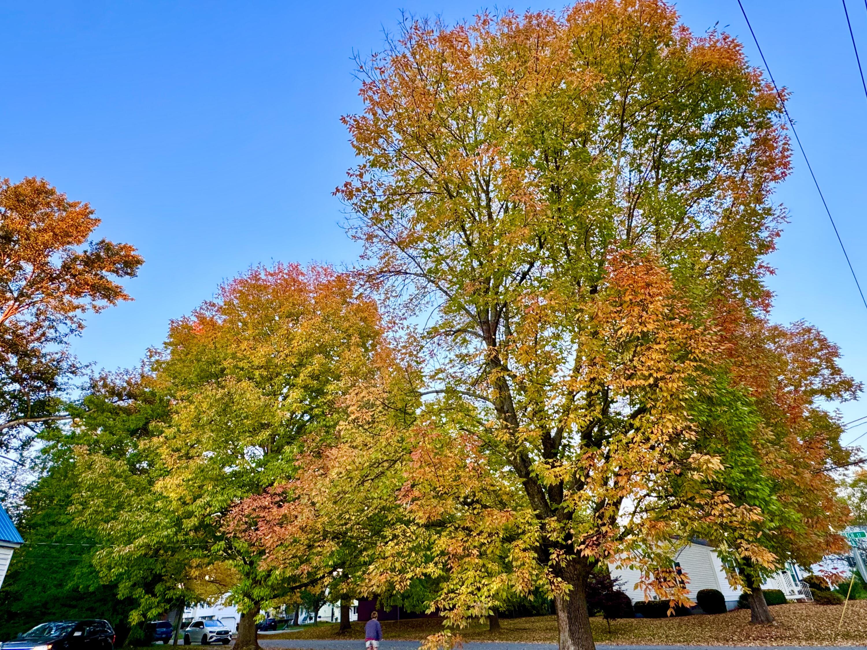 458 Birch Street Bangor ME 04401